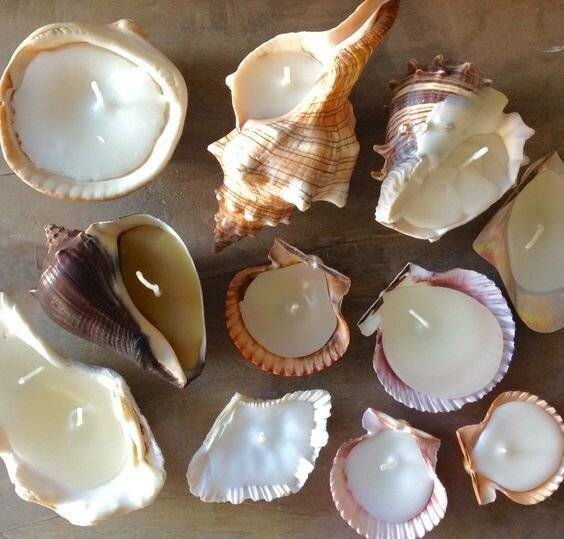 Seashell candles.