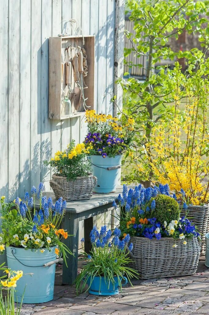 A blue and yellow themed garden.