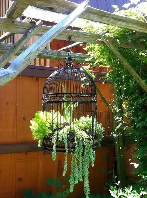 A hanging birdcage with plants inside.