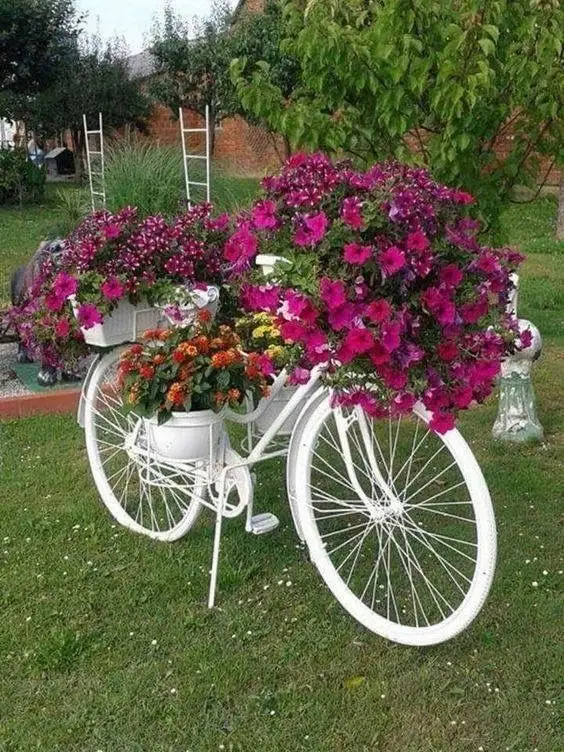 An old bicycle used as a flower shelf.