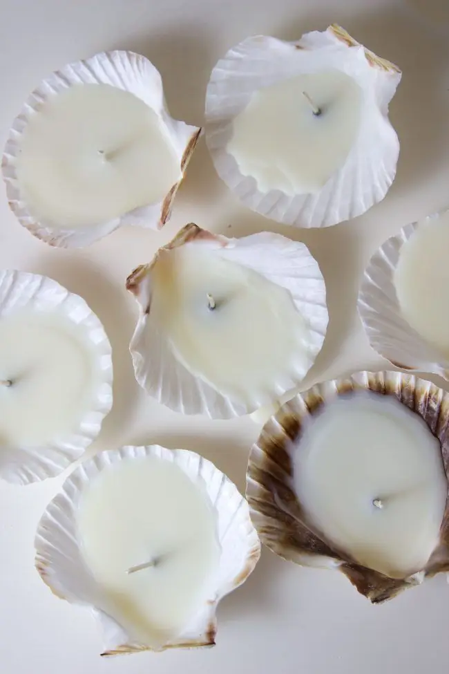 Seashell candles.