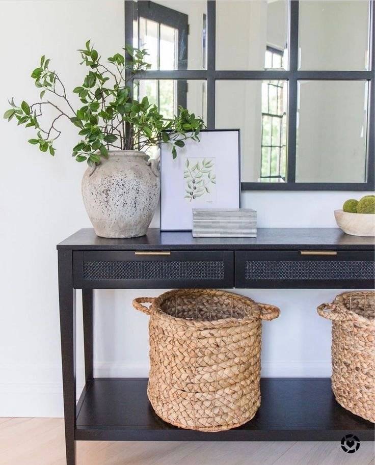 Plants on top of black console table.