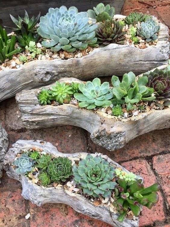 A tree branch planter.