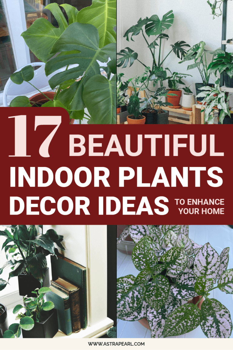 17 Beautiful Indoor Plants Decor Ideas To Enhance Your Home - Astrapearl