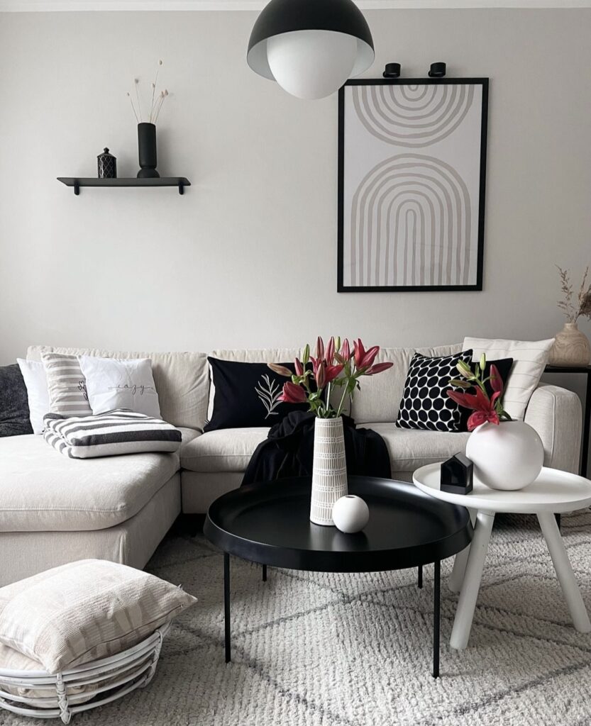 A cozy living room with a black and white modern decor.