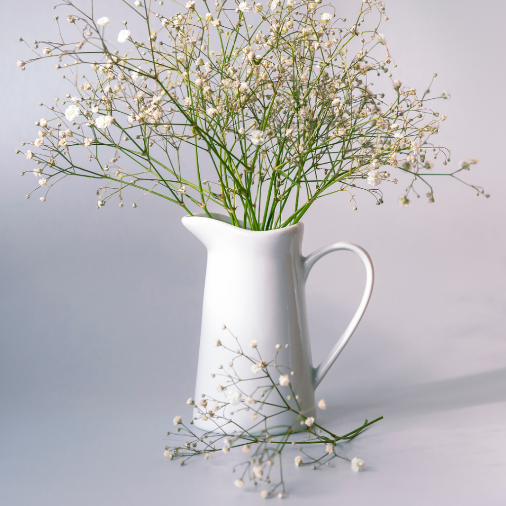 A white pitcher vase.