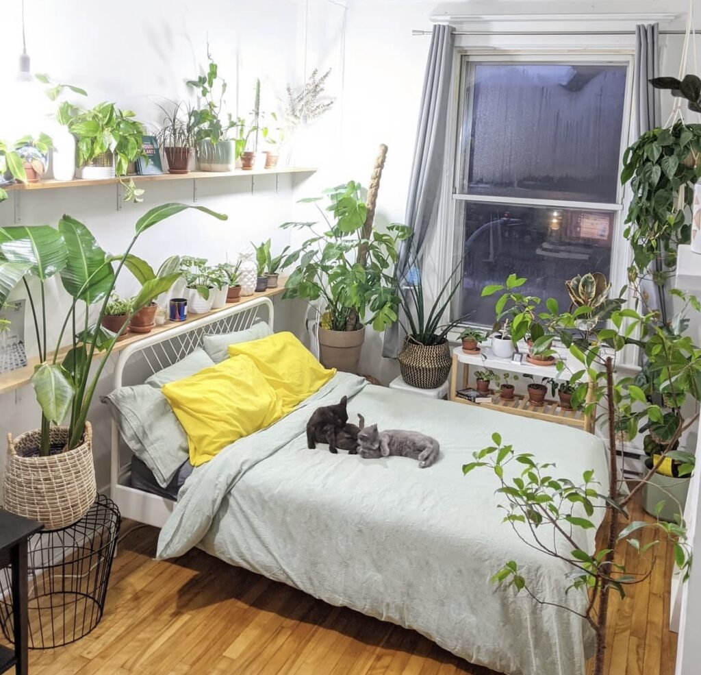 A modern bedroom filled with plants.