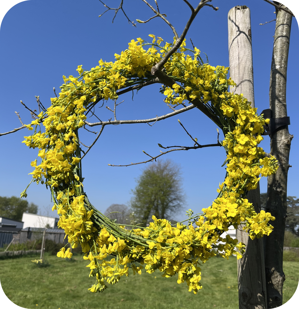 Easter wreath made of wild yellow flowers. ©ASTRAPEARL - DO NOT USE