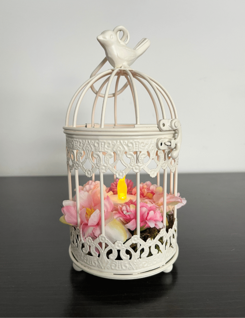 Bird cage craft - view 1. ©ASTRAPEARL - DO NOT USE