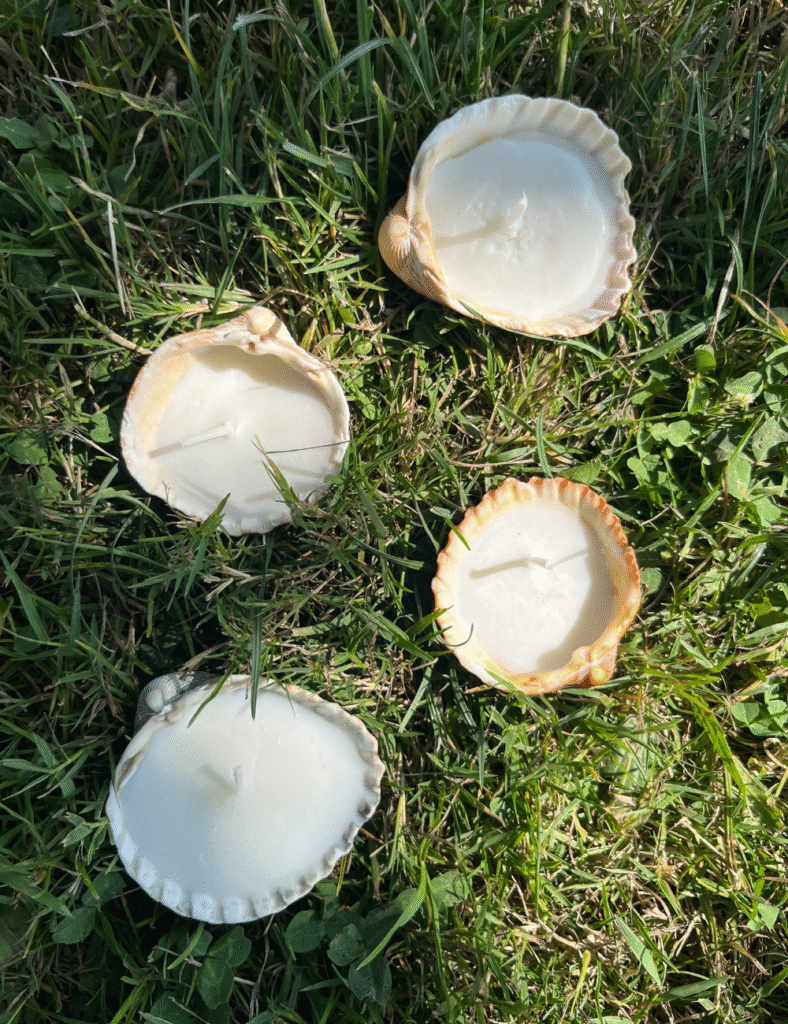 Seashell candles DIY - view 2. ©ASTRAPEARL - DO NOT USE