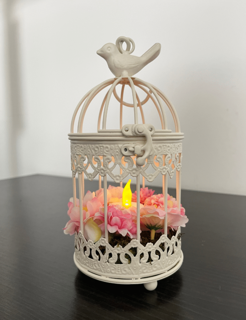 Bird cage craft - view 3. ©ASTRAPEARL - DO NOT USE