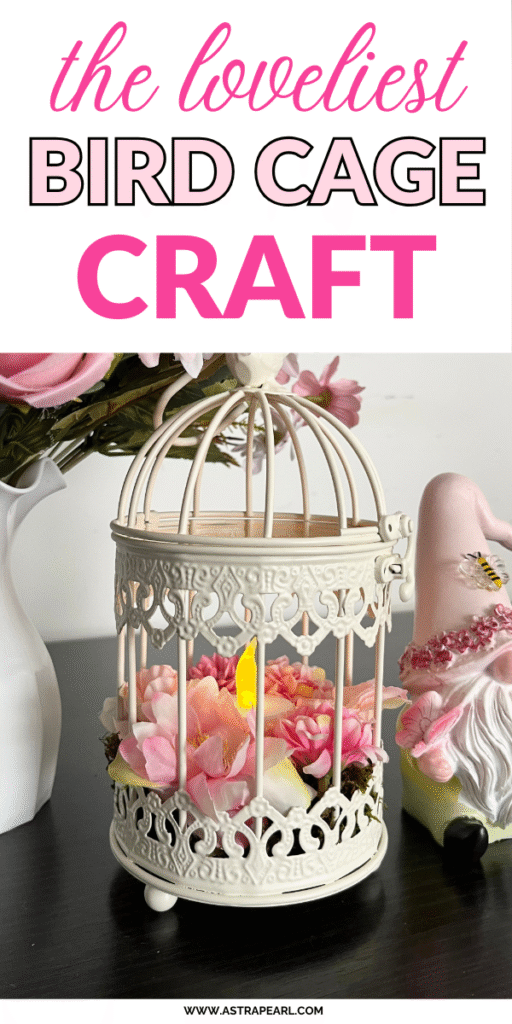 Pinterest Pin for bird cage craft.