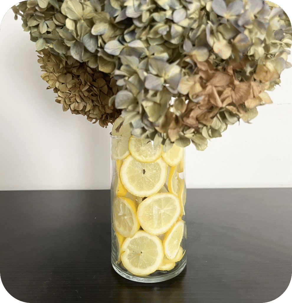 Dried hydrangeas in a lemon vase.