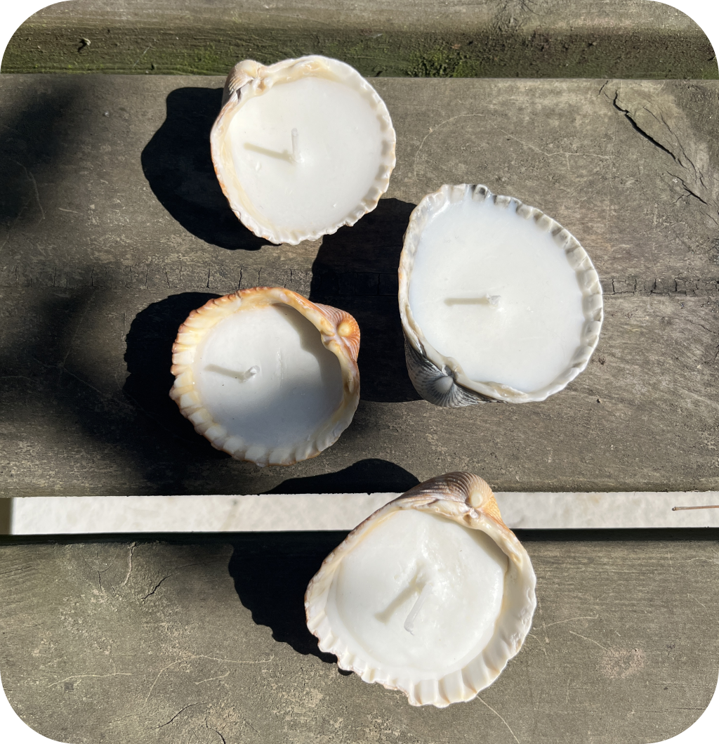 Seashell candles on a wooden table.