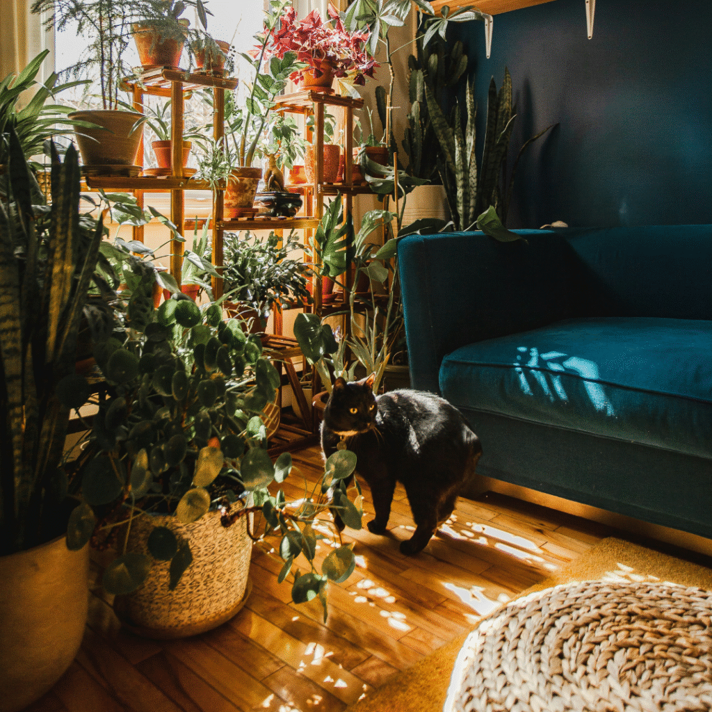 A living room with plants.
