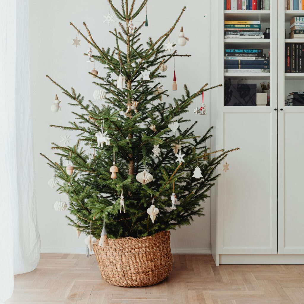 A Christmas tree with a woven basket collar.