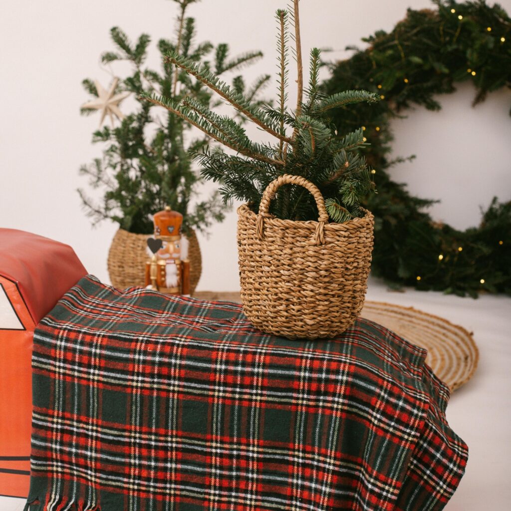 A Christmas plaid blanket.