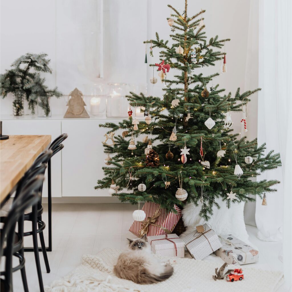 A Christmas tree and a cat.