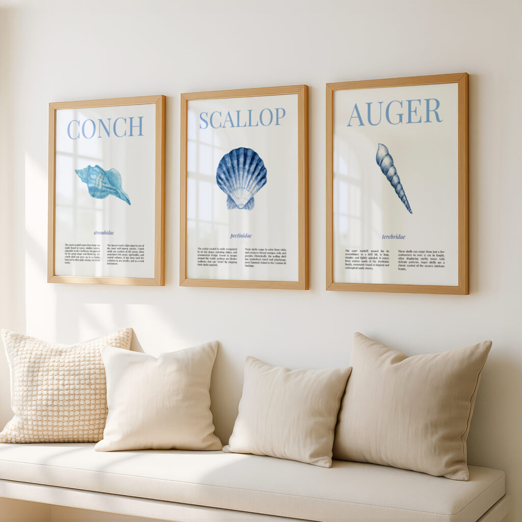 A seashell types print set of 3.