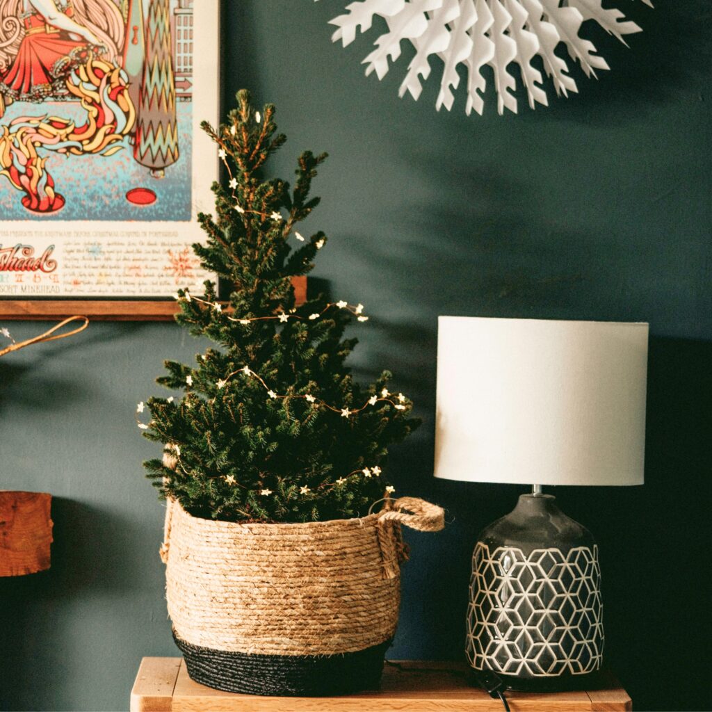 A tabletop Christmas tree.