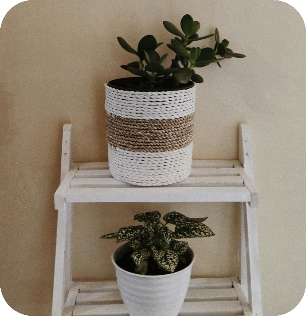 White planters with greenery.