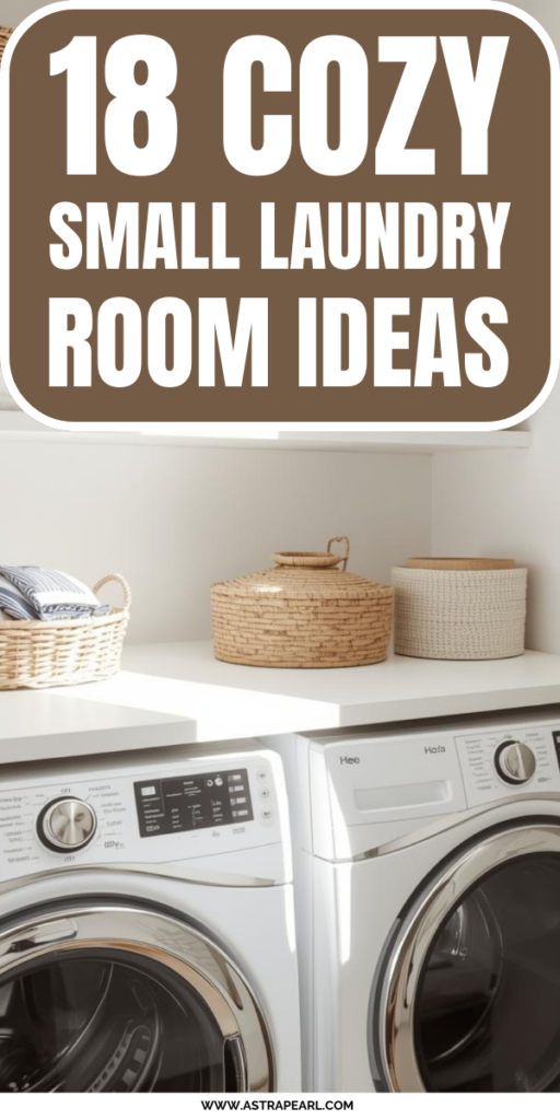 Pinterest Pin for small laundry room ideas.