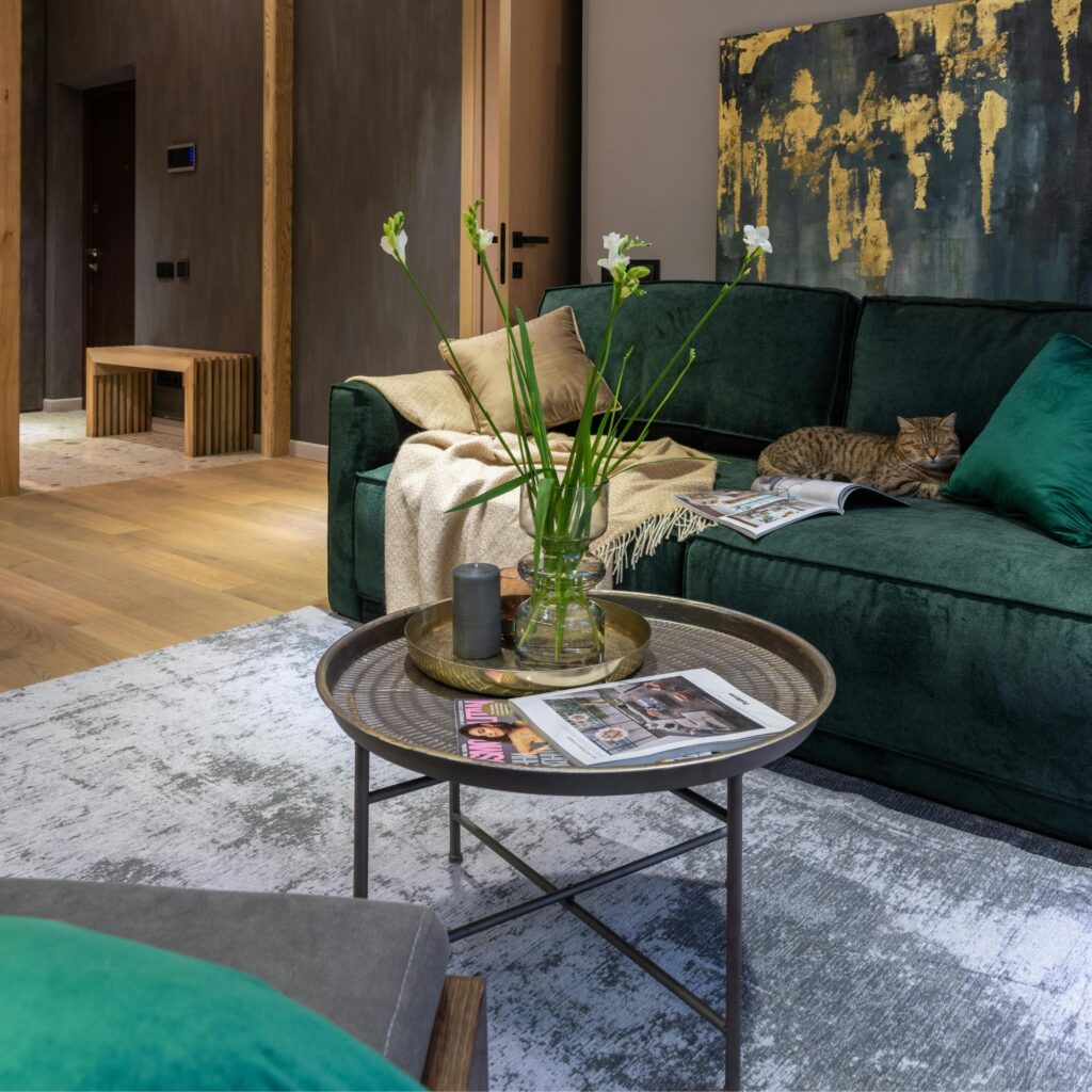 A living room with a rug.