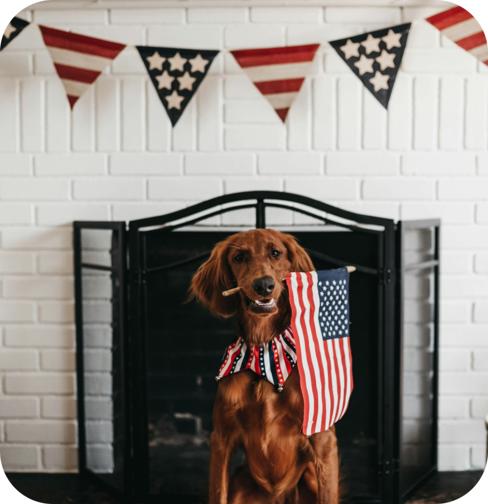 A 4th of July decor.