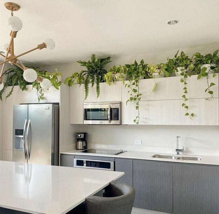 A modern above kitchen cabinets decor.