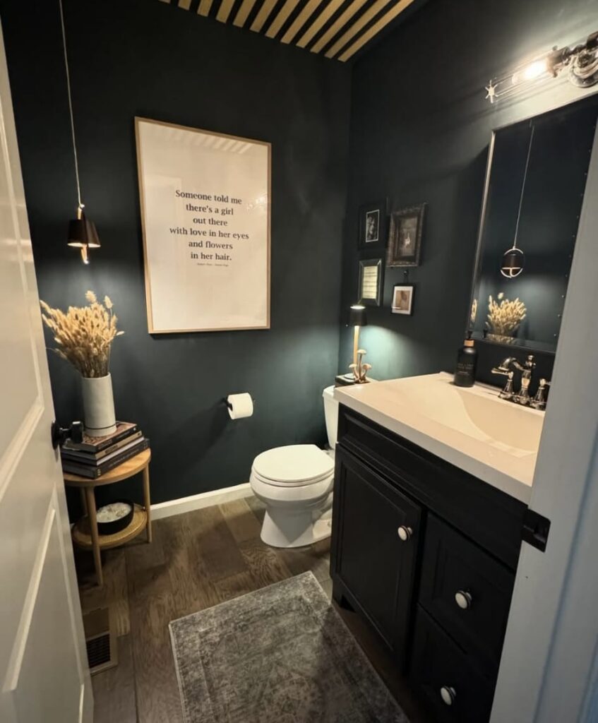 A black bathroom.